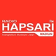 Hapsari FM Logo