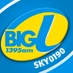 Big L1 1395 AM Logo