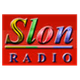 Radio Slon FM Logo