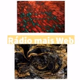 Rádio Mais Web Logo
