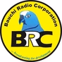 BRC FM Alkaleri logo