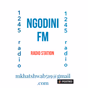 Ngodini fm logo