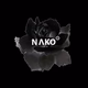 NAKO RADIO Logo