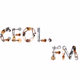 Ceol FM - Energetic Logo