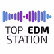 Top 100 Station - Top EDM Station Logo