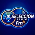 SELECCION RADIO FM logo