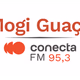 Rádio Conecta 95.3 FM Logo