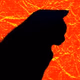 Void Radio Logo