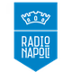 Radio Napoli logo