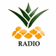 Ananaz Radio Logo