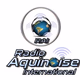 Radio Aquinoise International Logo