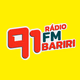 Rádio 91 FM Bariri Logo