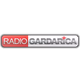 Радио Гардарика Logo