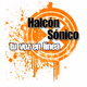 Halcón Sónico Radio Logo
