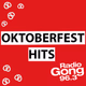 Radio Gong 96.3 - Oktoberfest Hits Logo