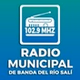 Radio Municipal logo