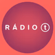 Rádio T Guarapuava Logo