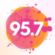 Fidelity  95.7 FM - WFDT Logo