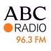 ABC Punto Radio Logo