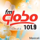 FM Globo 101.9 - XHPF Logo