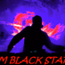 Rádio Web Black Star Logo