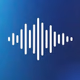 Blue Torch Radio Logo