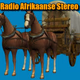 Radio SAM Music - Radio Afrikaans Stereo Logo