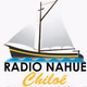 Radio Nahuel Logo