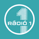 Rádió 1 Békéscsaba logo