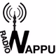 Radio Wappu 89.7 Logo