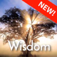 Calm Radio - Wisdom Logo