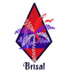 Brisal y Mas Radio Online Logo