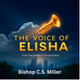 Voice of Elisha logo