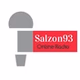 Salzon93 logo