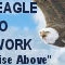 The Eagle Radio Network Logo