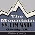 WNBV logo