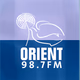 راديو اورينت Logo