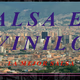 Salsa En Vinilo Logo