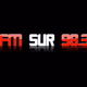 Radio Sur FM Logo