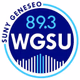 89.3 WGSU  Geneseo's Voice of the Valley Logo