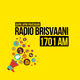 Radio Brisvaani Logo