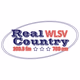 Real Country 100.3 FM & 790AM - WLSV Logo