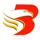 Brigada News FM Palawan - DWBJ Logo