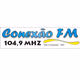 Rádio Conexão 104.9 FM Logo