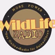 Wild Life Radio - Main Stream Logo