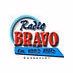 Bravo Radio Logo
