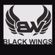 Radio Black Wings logo