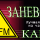 Заневский Канал Logo