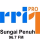 RRI - PRO1 Sungai Penuh Logo