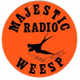 Radio Majestic Weesp Logo